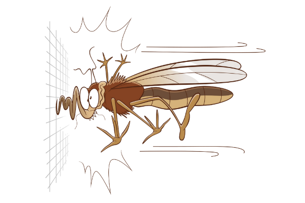 Fliegengitter.org fliegengitter.org